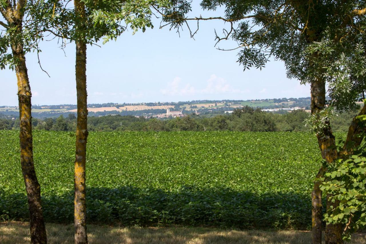 Les Hauts De Condom Appartements Climatises Bagian luar foto